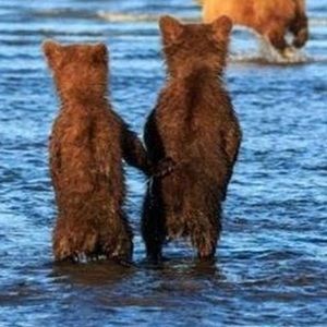 Meet your Posher, Wantong